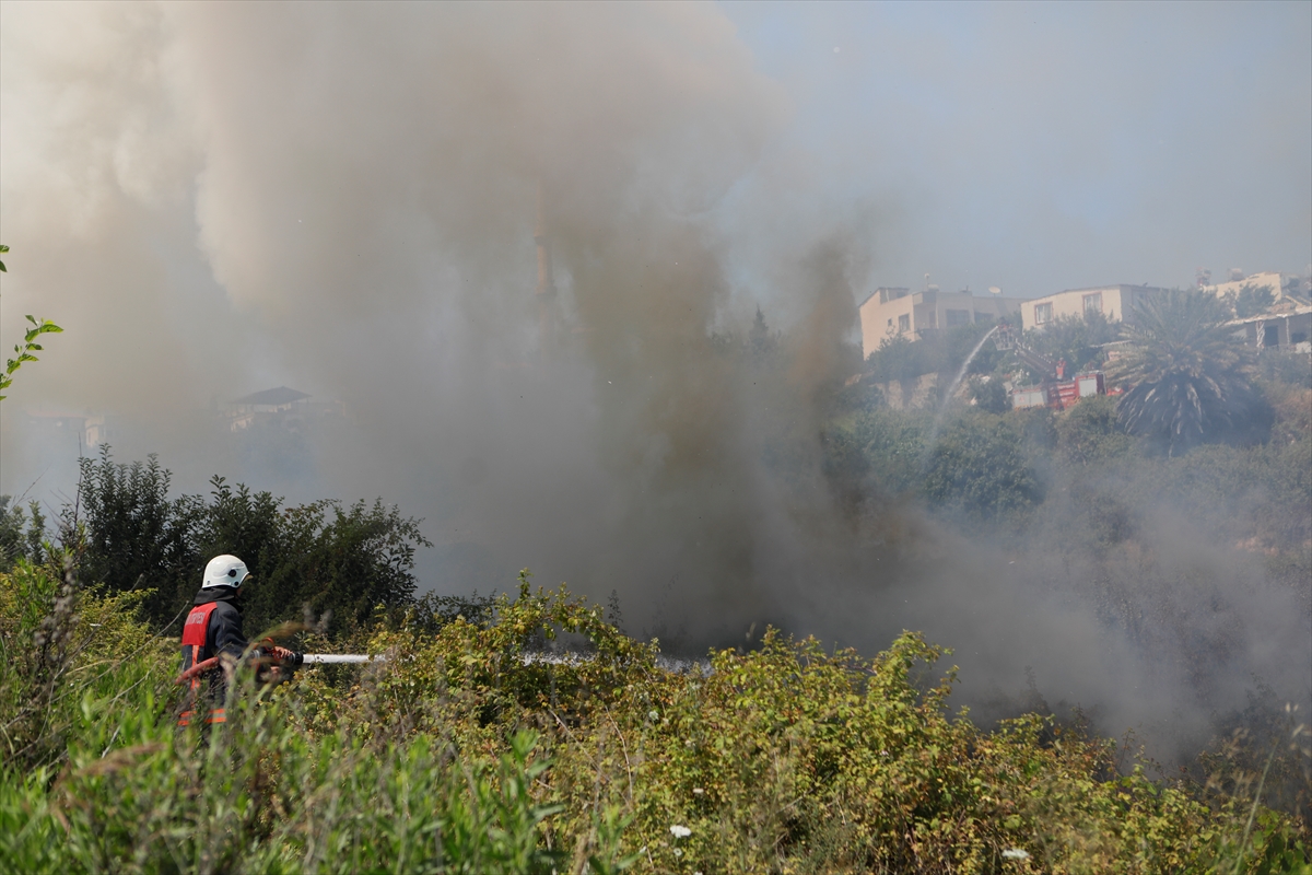 Mersin'de ağaçlık alanda çıkan yangın söndürüldü