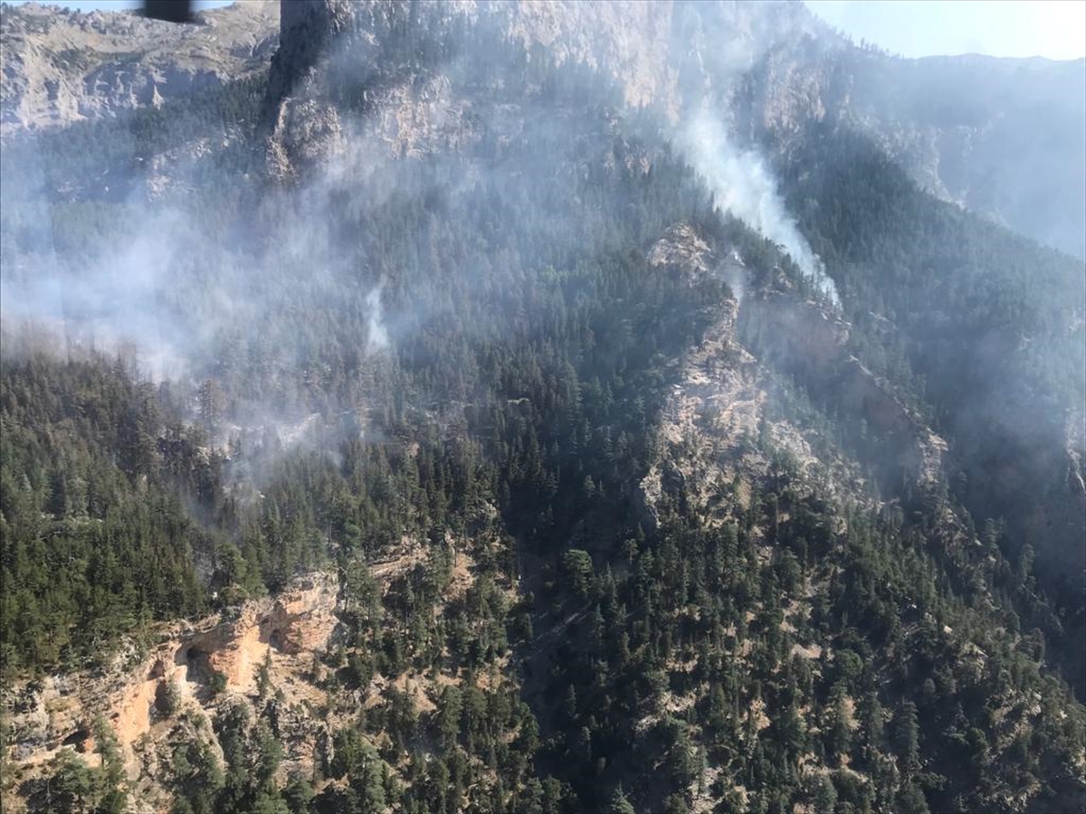 GÜNCELLEME – Mersin'deki orman yangını kontrol altına alındı