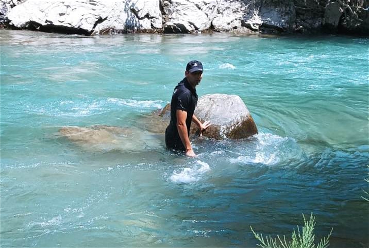 Müküs Çayı'na düşen hemşireyi arama çalışmaları bayramda da sürüyor