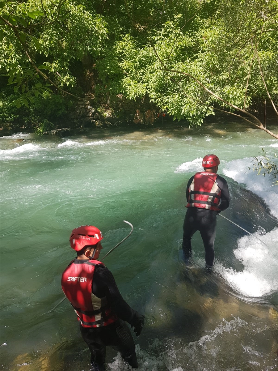 Müküs Çayı'na düşen hemşireyi arama çalışmaları sürüyor