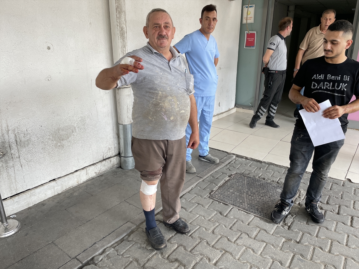 Doğu Marmara ve Batı Karadeniz'de “acemi kasaplar” hastanelik oldu