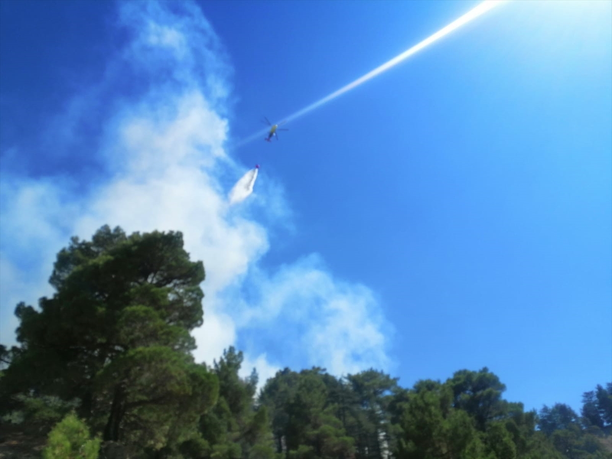 Antalya'da ormanlık alanda yangın çıktı