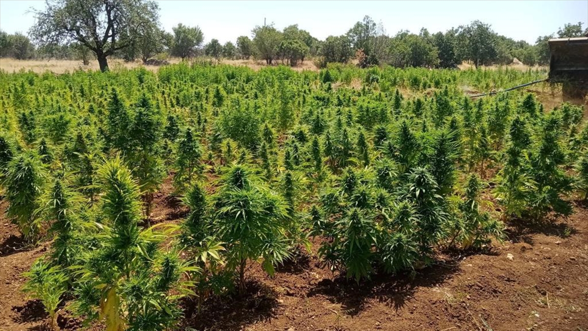 Diyarbakır'da “Eren Abluka-30 Şehit Jandarma Uzman Çavuş İlyas Genel Operasyonu” başlatıldı