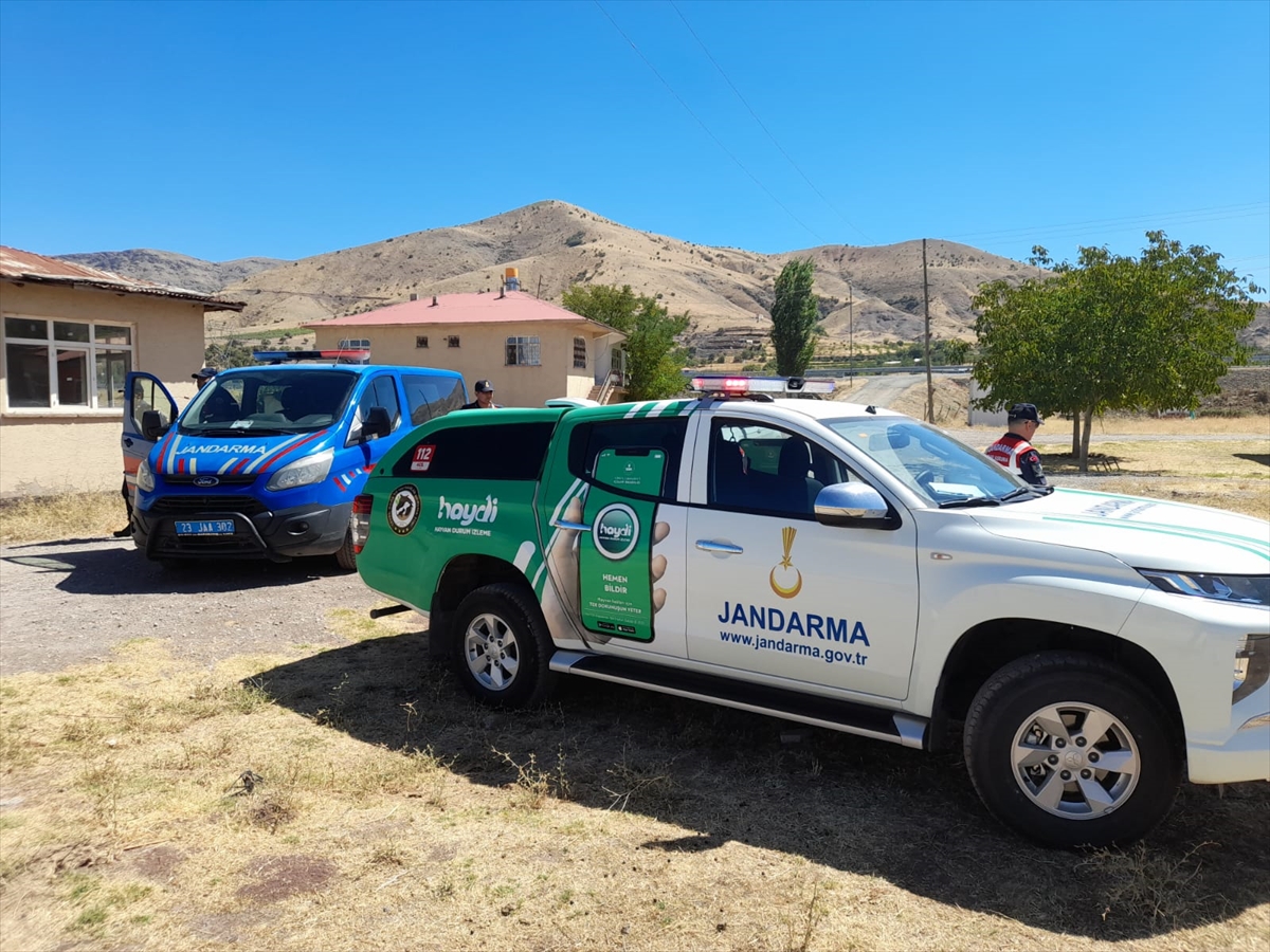 GÜNCELLEME – Elazığ'da 2 eşeğin traktöre bağlanarak götürülmesi kameraya yansıdı