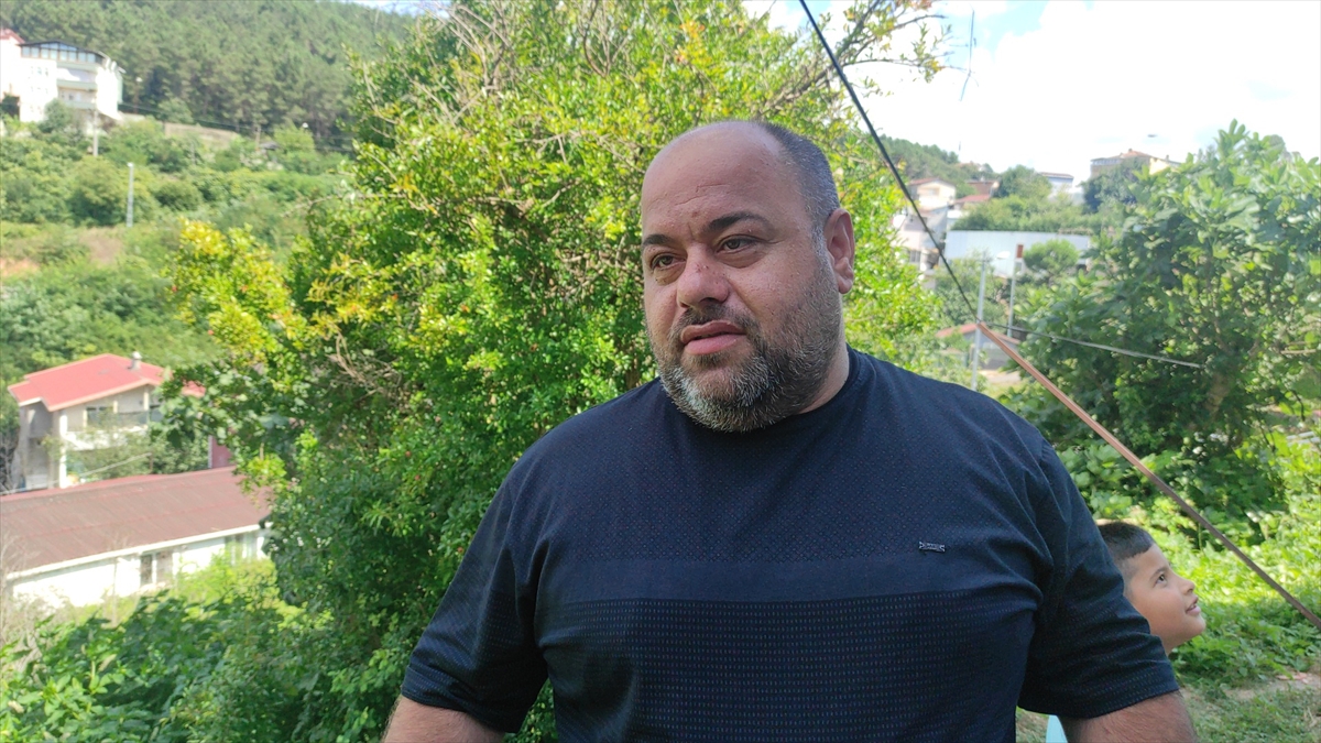 İstanbul'da da görülen “vampir kelebek” vatandaşları rahatsız ediyor