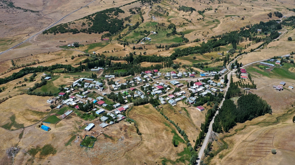 Muşlu gurbetçiler tatil için geldikleri köylerinde memleket hasreti gideriyor
