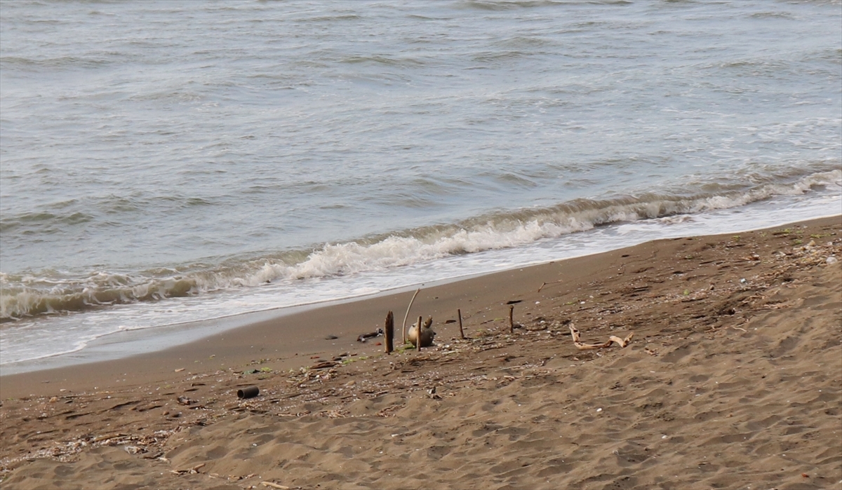Ordu sahilinde deniz mayını ateşleme tüpü bulundu