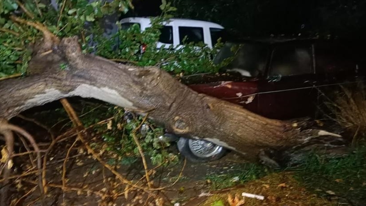 Yalova'da yağmur ve fırtına etkili oldu