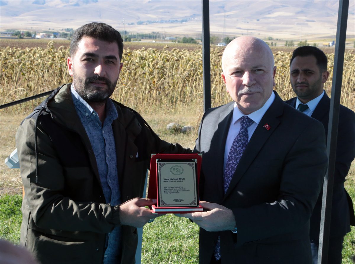 Erzurum'un 2300 rakımlı Daphan Ovası'nda ayçiçeği hasadına başlandı