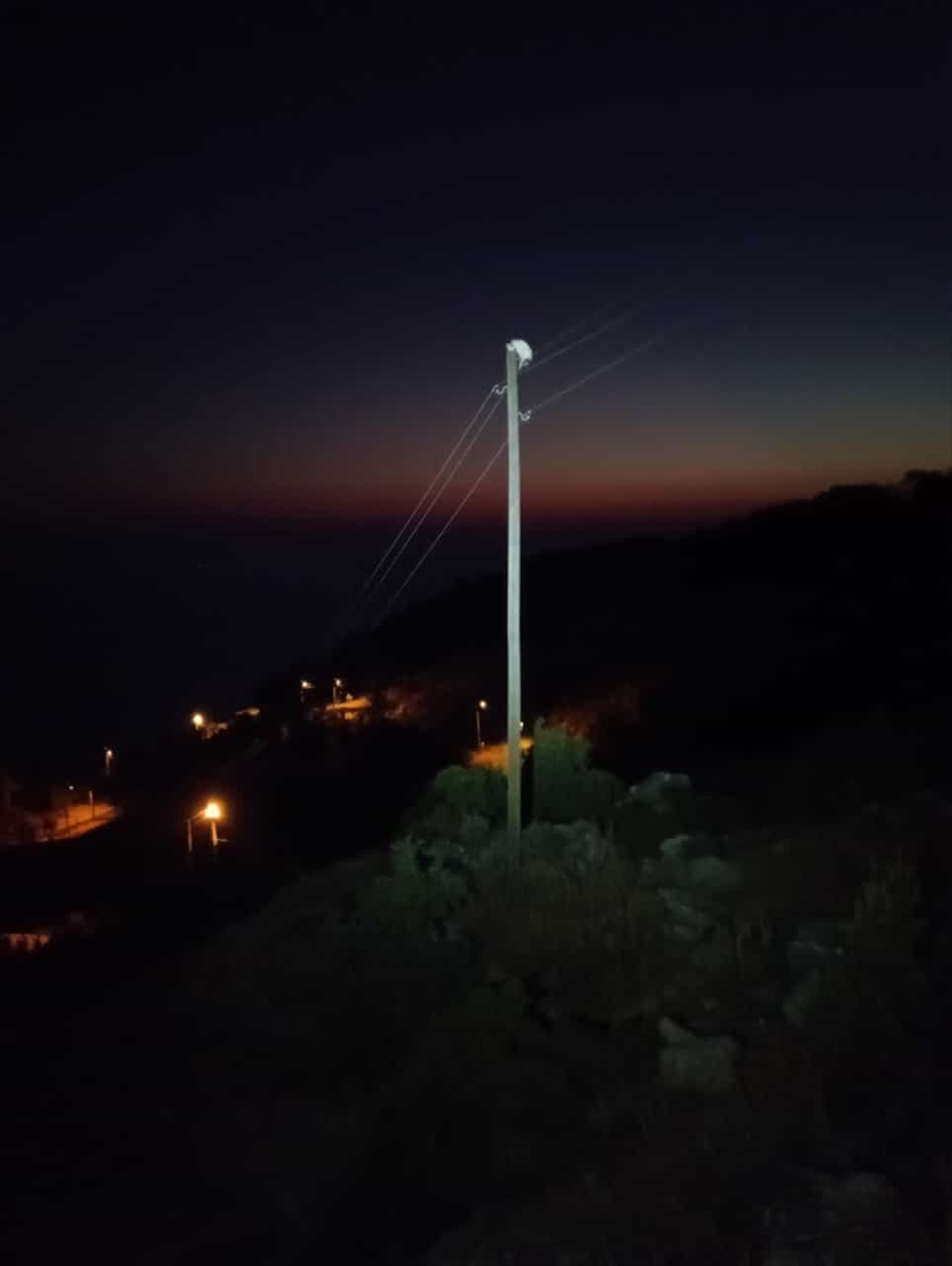 Fethiye'de elektrik direğinde mahsur kalan kedi kurtarıldı