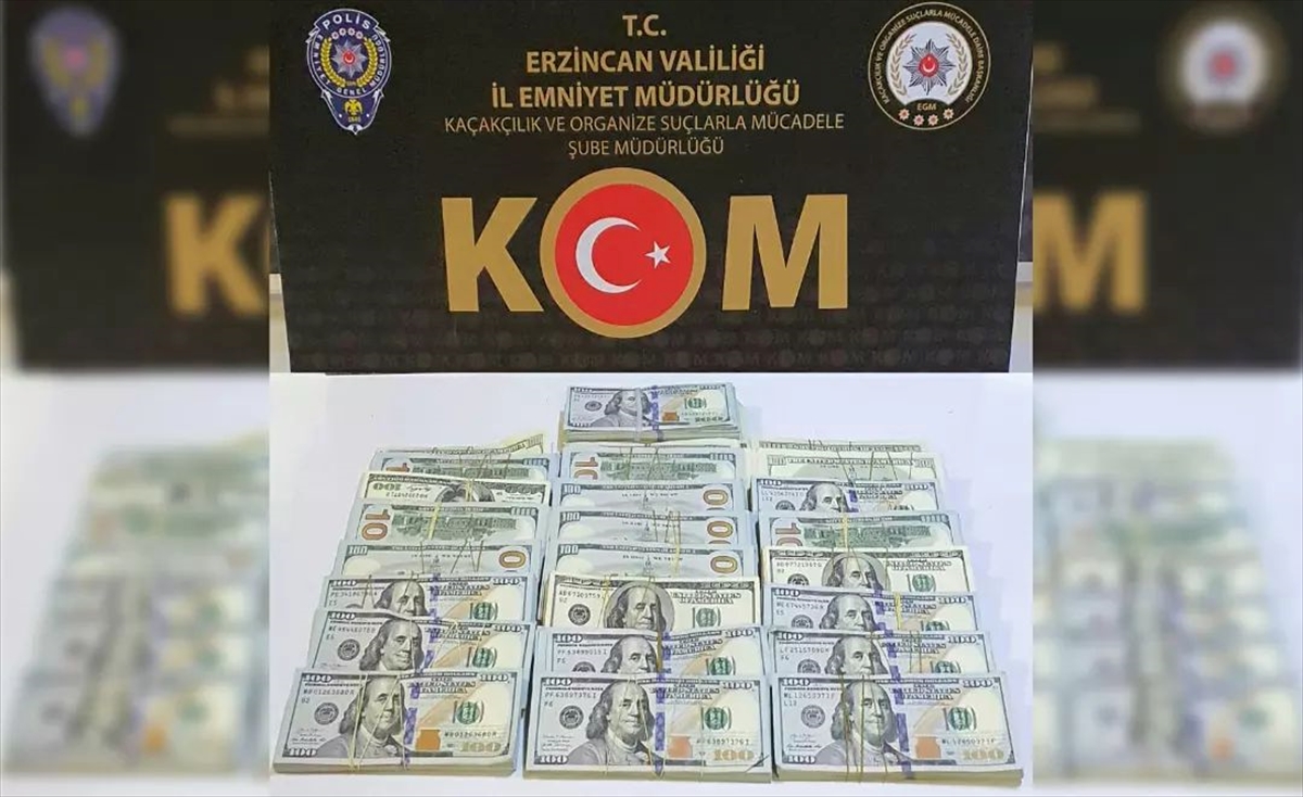 Iğdır'da dolar gasbettiği öne sürülen şüpheli Erzincan'da yakalandı