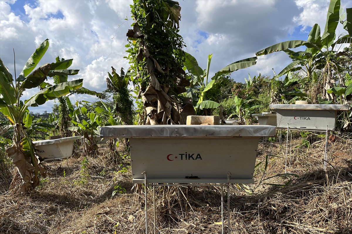 TİKA Kamerun'da bal üreten kooperatife destek sağladı