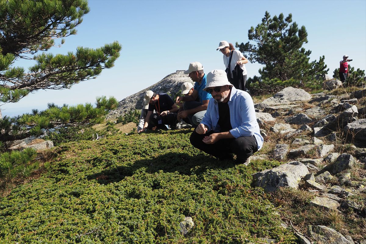 TÜBİTAK Bilim İnsanı Destek Programı'nda Kazdağları'na teknik gezi düzenlendi