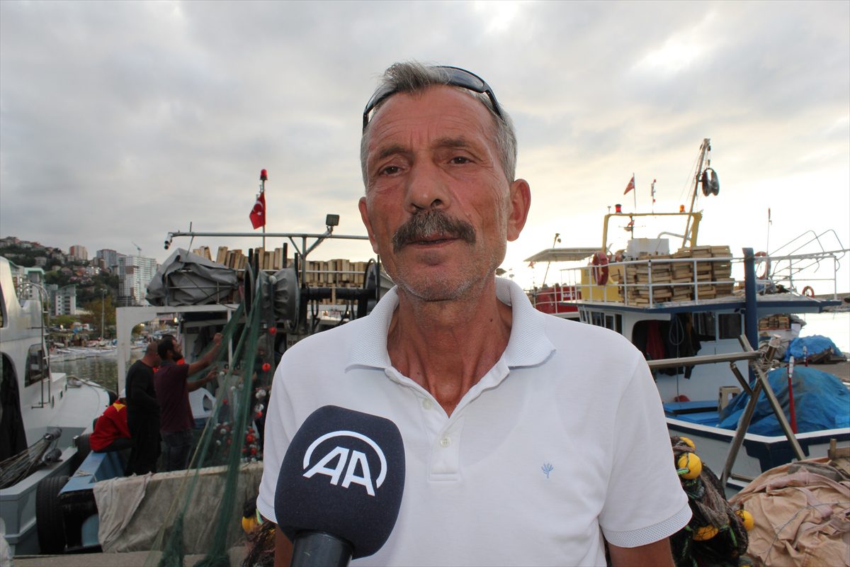 Zonguldak'ta palamut bolluğu tezgahlardaki fiyatlara yansıdı