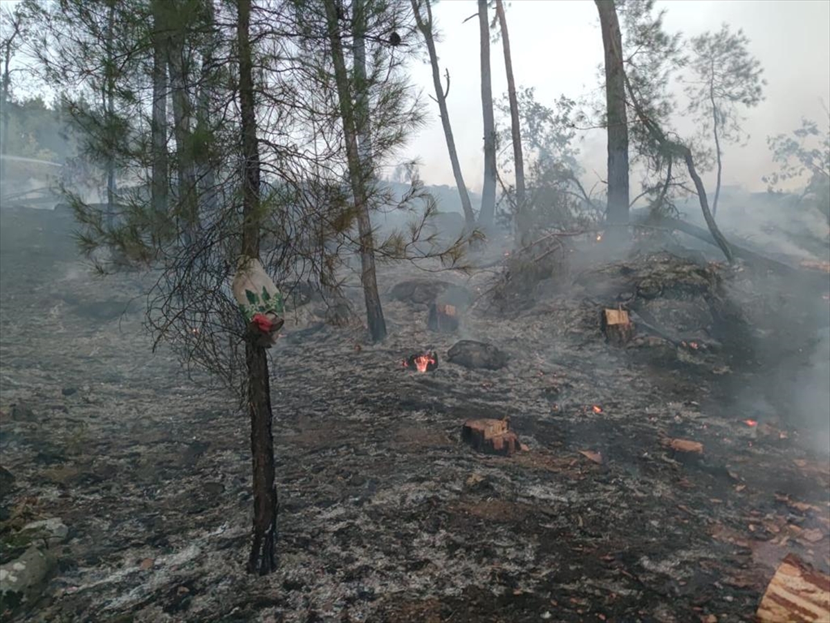 Adana'da çıkan orman yangını kontrol altına alındı