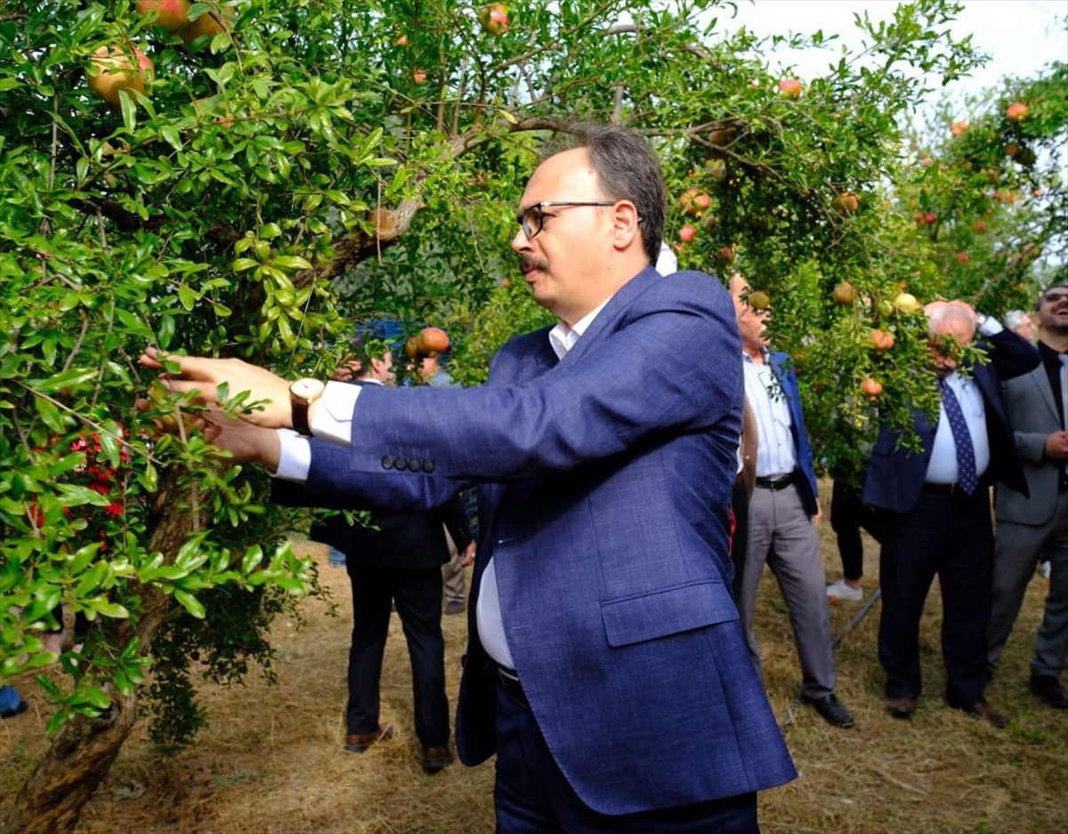 Bilecik'teki hasat şenliğinde nar dizme, suyunu sıkma ve yeme yarışmaları yapıldı