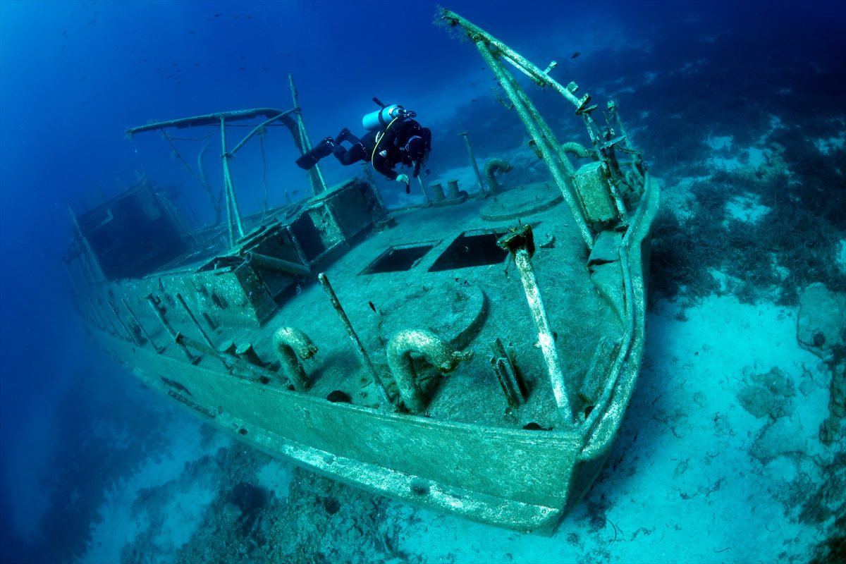 Bodrum'un su altı dünyasında tarih ve doğal yaşam bir arada görüntülendi