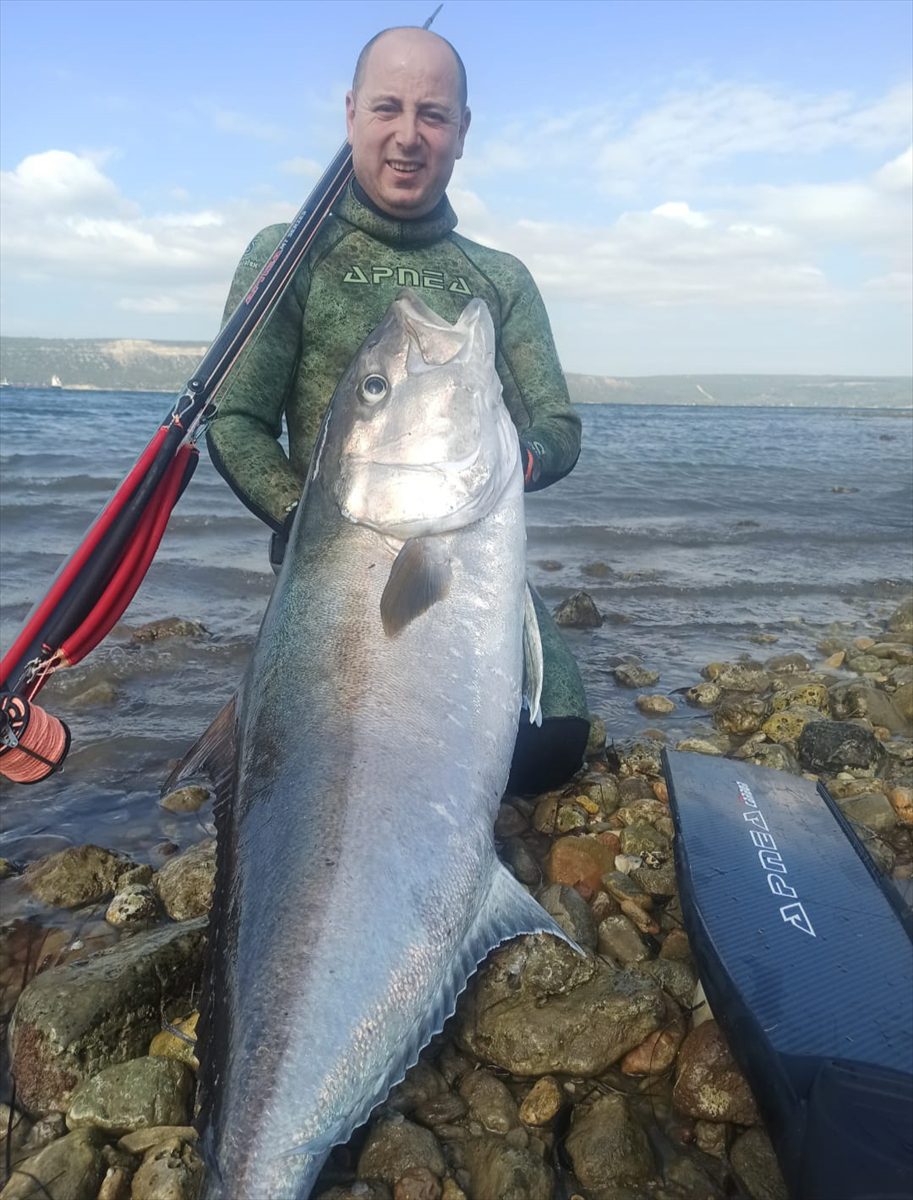 Çanakkaleli balık avcısı zıpkınla 50 kilogramlık dev akya yakaladı