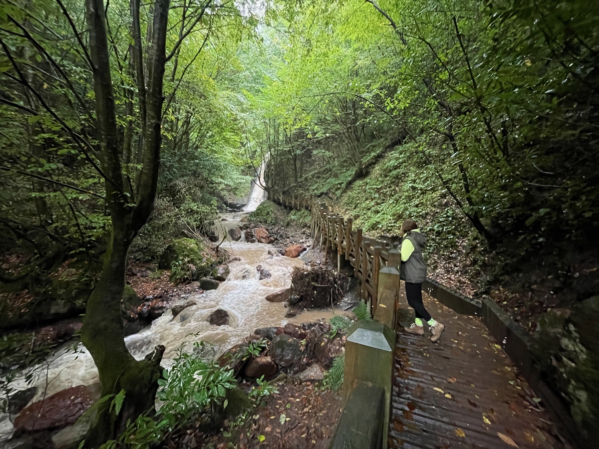 Düzce'nin doğal güzellikleri sonbaharın renklerine büründü
