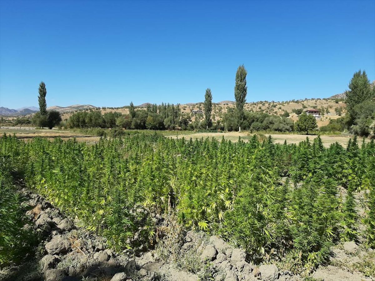 Eren Abluka Sonbahar-Kış 2 Operasyonu'nda 565 kilogram uyuşturucu ele geçirildi