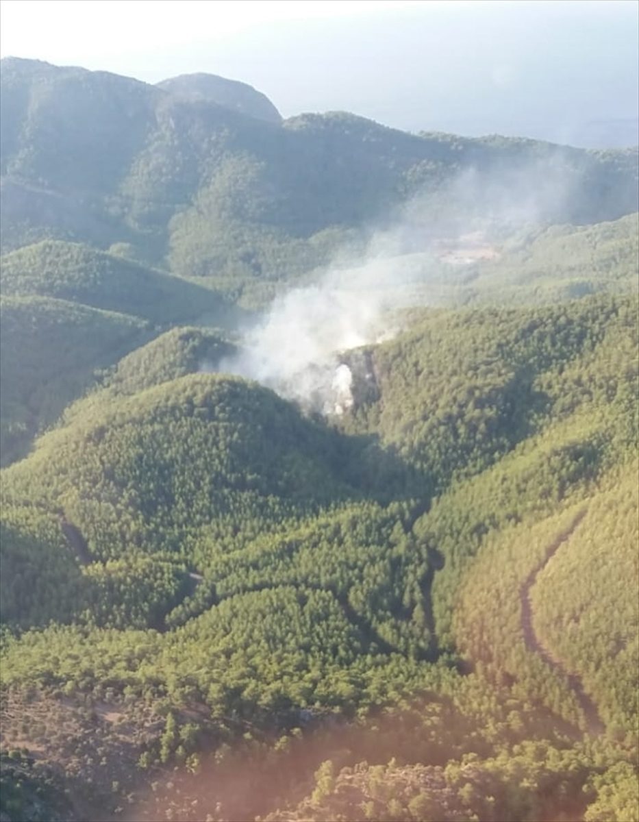 Muğla'da çıkan orman yangınına havadan ve karadan müdahale ediliyor