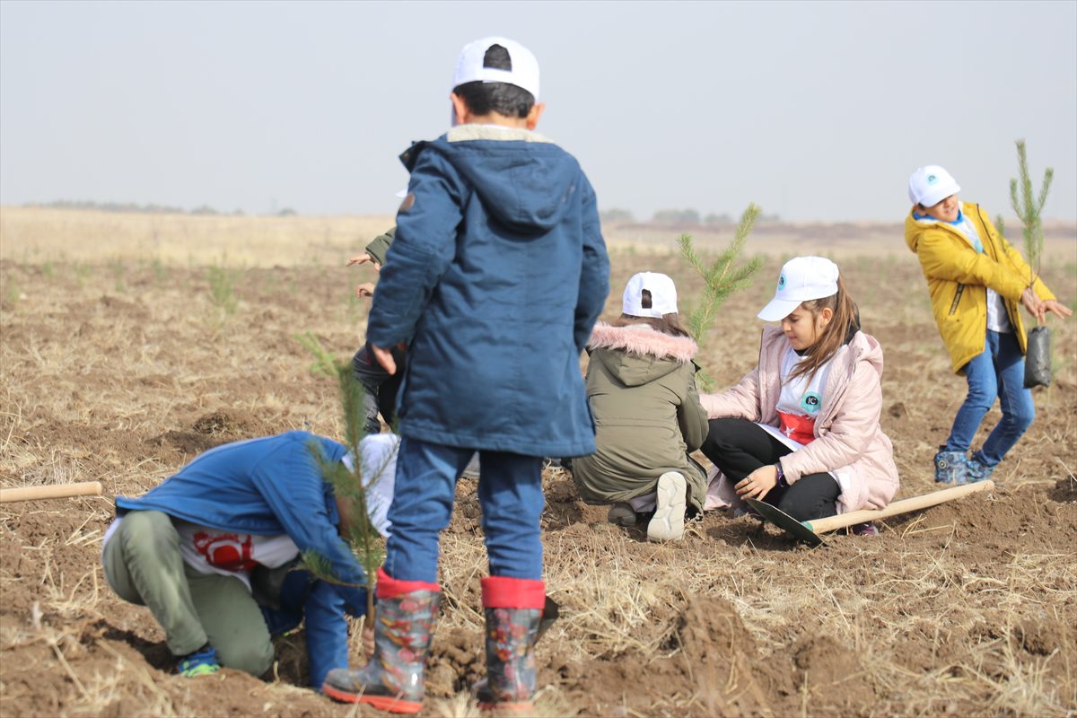 Ağrı'da “İbrahim Çeçen Vakfı Hatıra Ormanı” 7 bin fidanla açıldı
