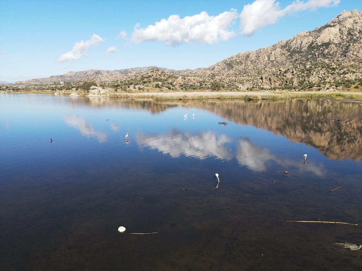 Bafa Gölü 261 kuş türüne ev sahipliği yapıyor