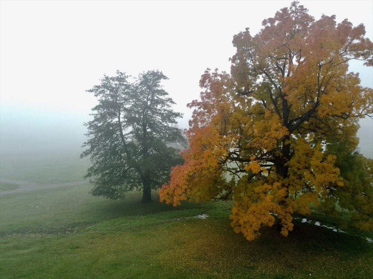 Gölyaka Kültür Park'ta sis sonbaharın güzellikleriyle buluştu