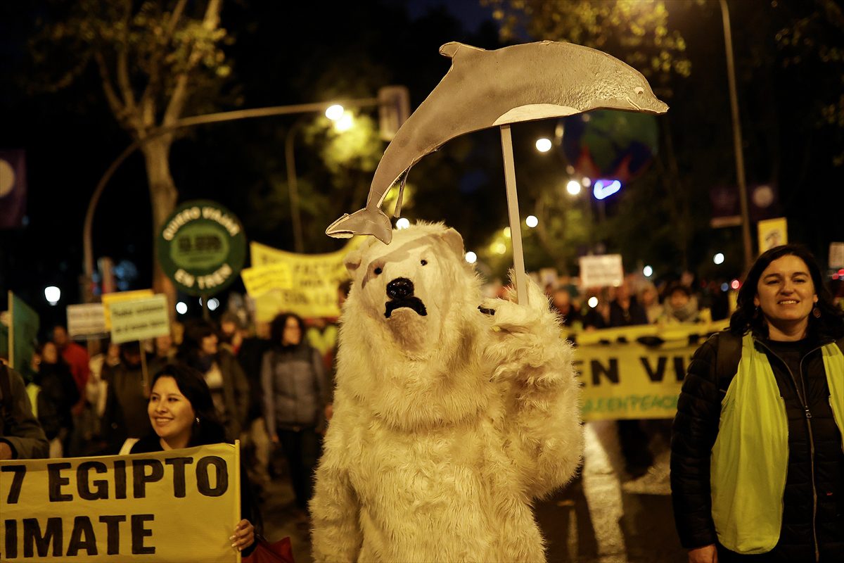 İklim değişikliği sorunu Madrid'de protesto edildi