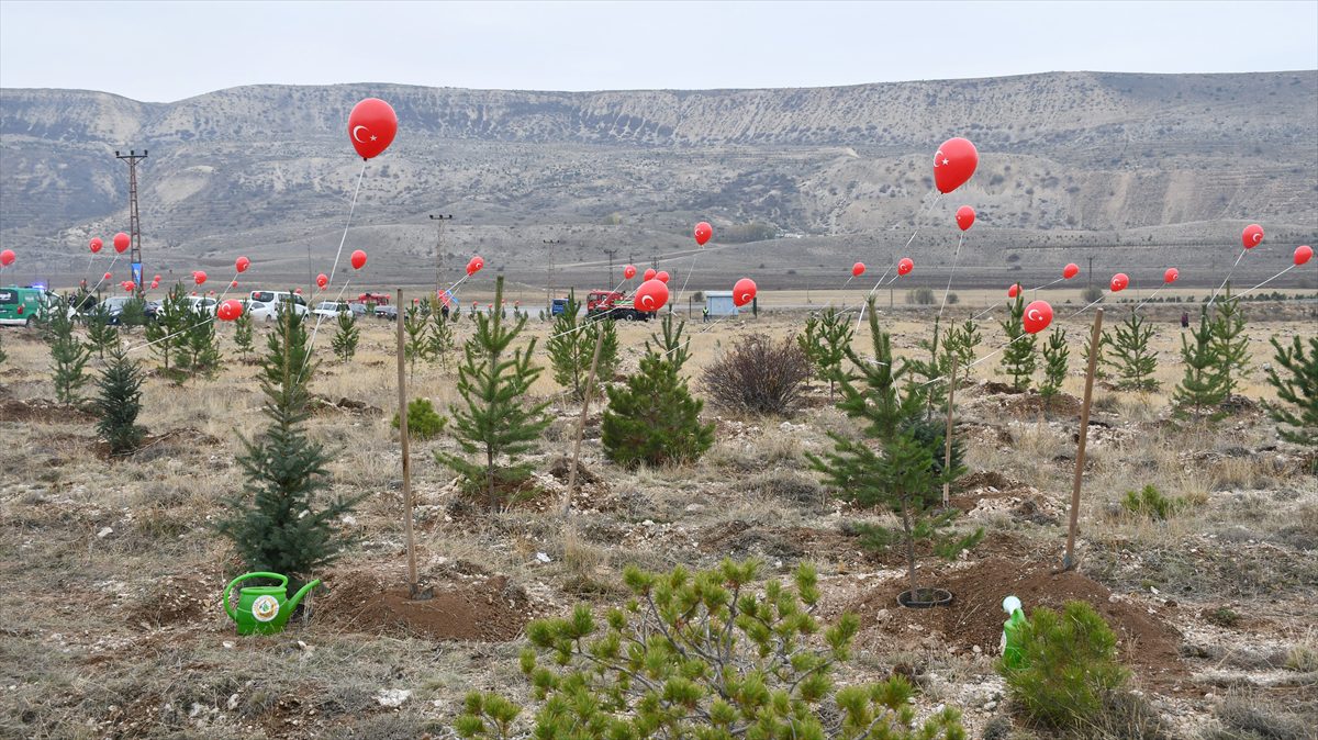 Kırıkkale, Yozgat ve Sivas'ta “Milli Ağaçlandırma Günü”nde fidanlar toprakla buluşturuldu