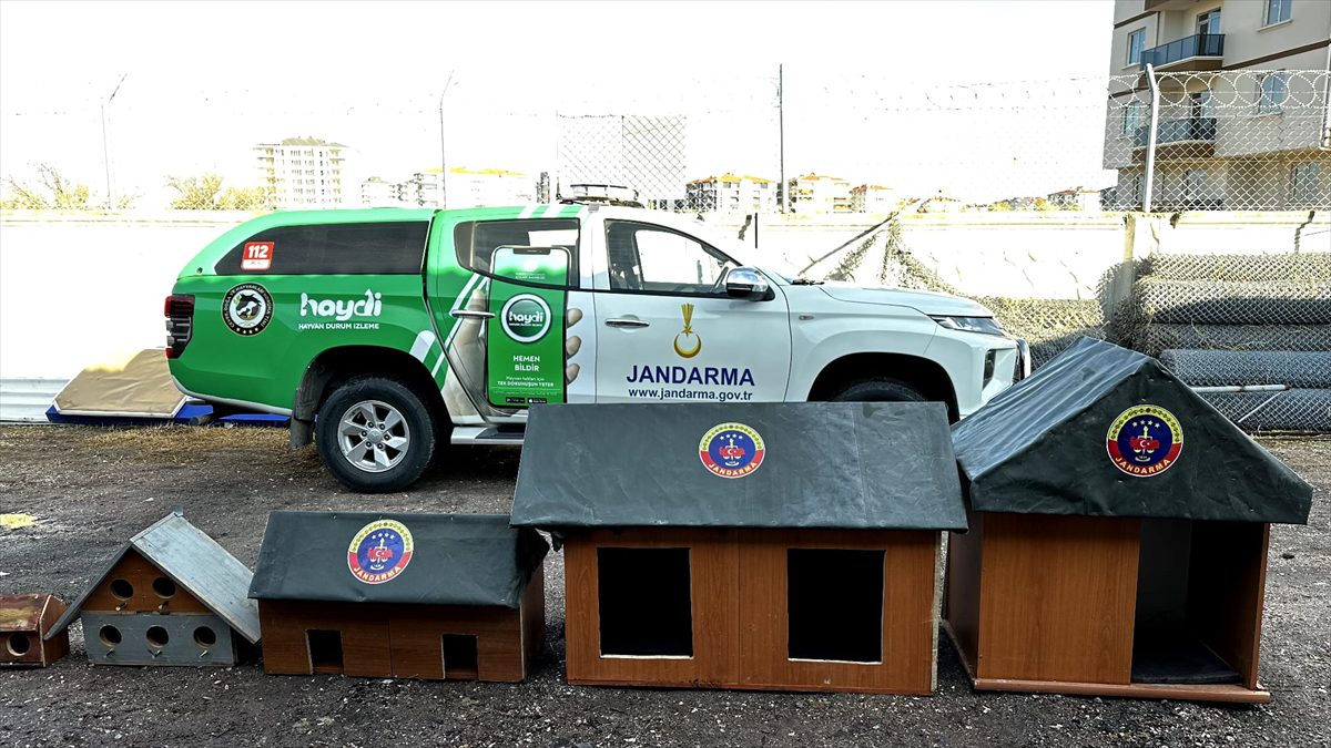 Aksaray'da jandarma ekipleri, sahipsiz hayvanlar için kulübe yaptı