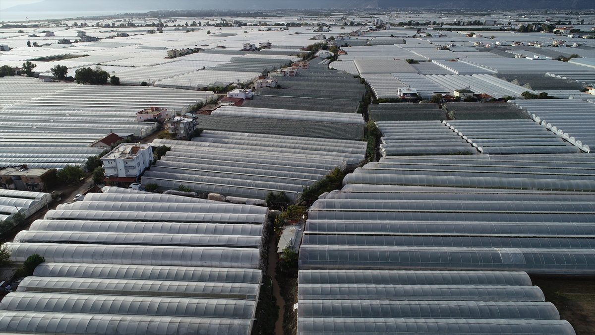 Tarım ve Orman Bakanı Kirişci, Antalya'da selden etkilenen alanlarda incelemede bulundu