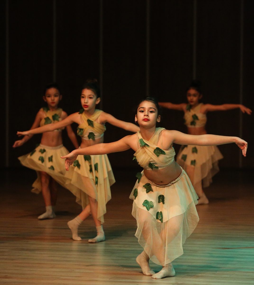 Bodrum'da yerli ve yabancı gruplar dans gösterisi sundu