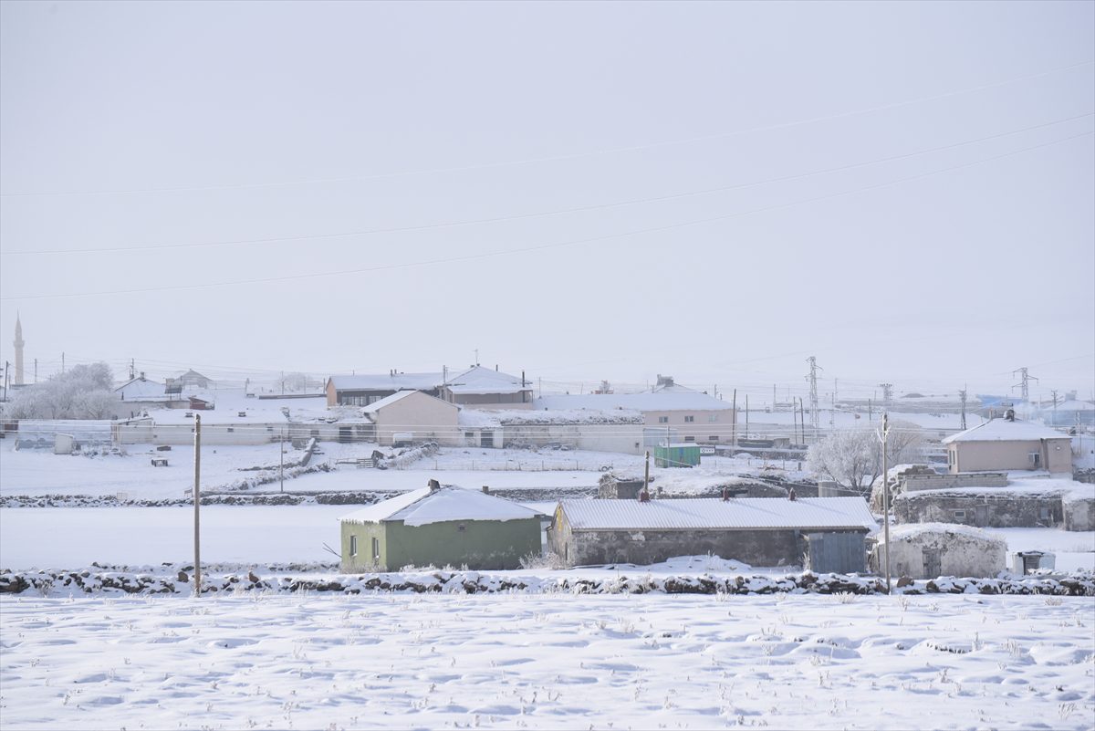 Doğu Anadolu'da soğuk hava ve kar etkili oluyor