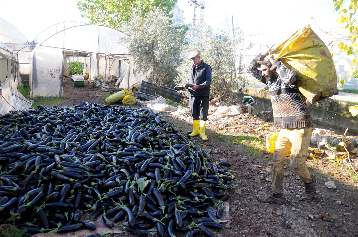 “Sel bahanesiyle çiftçiyi mağdur etmeyin” uyarısı
