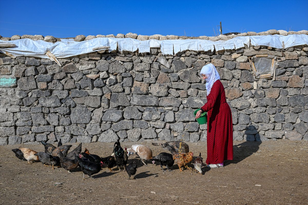 Geçen yılın en soğuk ilçelerinde bu sene sıcaklıklar arttı