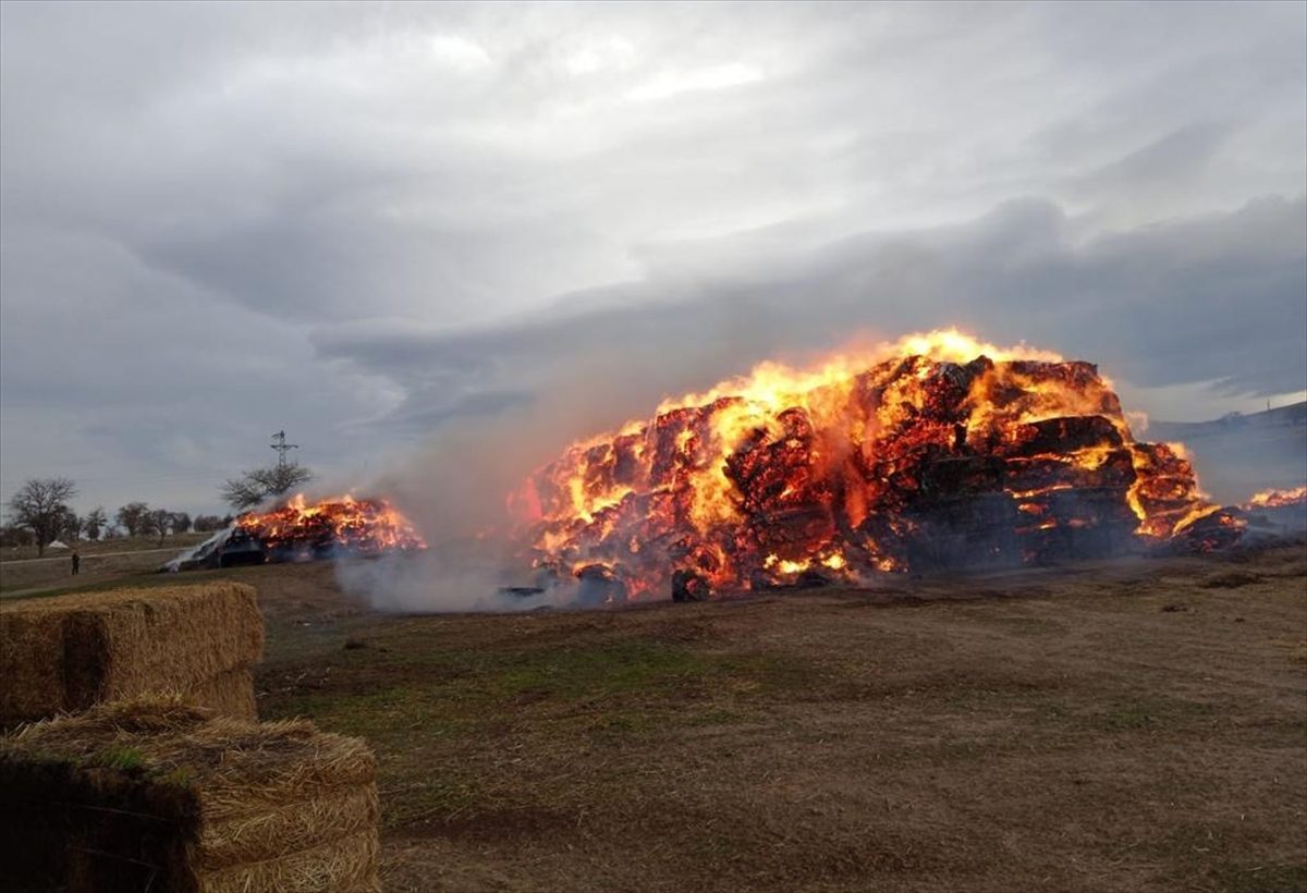 Konya'da bir tarım işletmesinde 2 bin 800 ton fiğ ve yonca balyası yandı