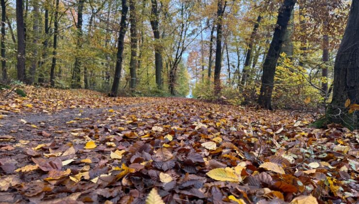 Riba Döngüsüne Karşı Tevhid: İç ve Dış Sömürünün Ahlaki Anatomisi