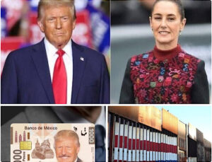 Meksika Devlet Başkanı’ndan Uyarı : “Damlaya damlaya göl olur’