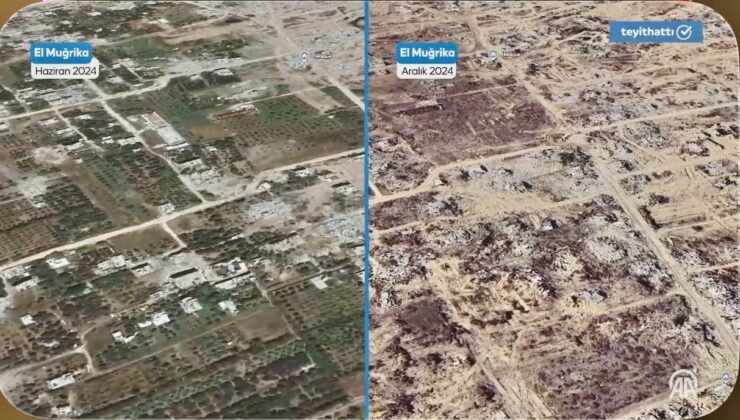 Gazze’de ekolojik soykırım: Uydu görüntülerinde ağaç katliamı