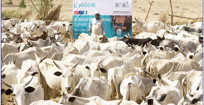 HASENE 245 bin 457 adet vekâlet kurbanı kesti